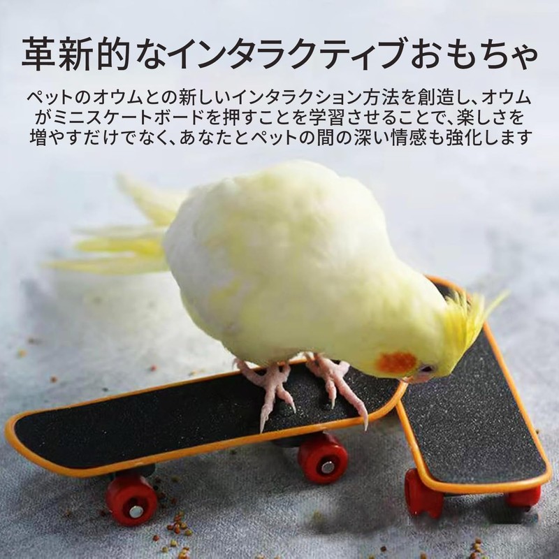 Mini Skateboard Bird Toy Pet Supplies Parrot Bird Standing Training