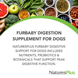 Natures Plus FurBaby Digestive Support for Dogs - 7.4 oz - Promotes Optimal Digestion - Non-GMO - 60 Servings
