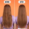 Noughty Back to Balance Shampoo, Oil Control Hair Wash, 250ml