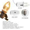 Dazzle Bright 4 Pack 6 FT Accessory Cord with Incandescent