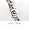 Eastar Beginner Piccolo Flute, Key of C, Silver Plated, with