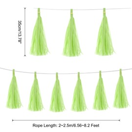 MECCANIXITY 20Pcs Glass Green Tassel Garland Banner with Rope Tissue Paper Tassels Party DIY Kits for Anniversary Wedding Birthday Party