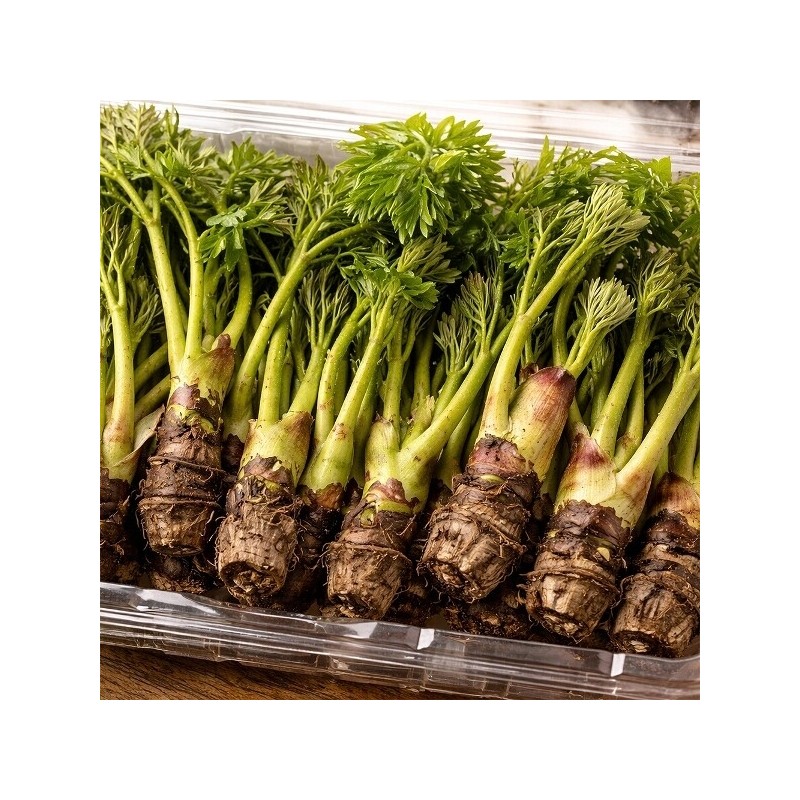 500g of domestically produced sesame seeds with strong aroma /