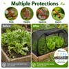 2PCS Pop Up Mesh Plant Covers for Raised Beds, Foldable