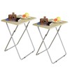 Garden 4 you Tv Trays, Folding Tray Table, Dinner Tray