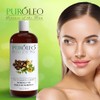 PUROLEO Moringa Oil 16 Fl Oz/473 ML (Packed In Canada)