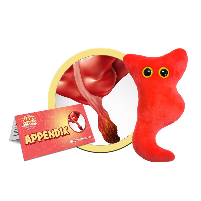 GIANTmicrobes Appendix Plush, Appendix Surgery Recovery, Appendicitis Gift, Appendectomy Recovery