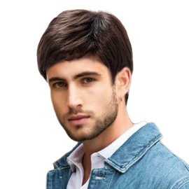 MEDISIFA Brown Men Wig Short Wigs for Mens Straight Synthetic Layer Hair For Man Male Guy Daily Cosplay Party Anime Costume Male Wigs