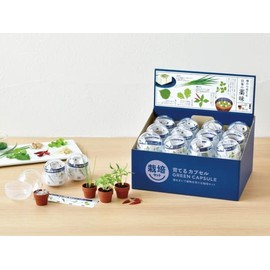 Seishin Pottery GD-926 Growing Capsules, Condiments, Size: Approx. W 43.9 x D 9.8 x H 86.6 inches (109 x 25 x 219 cm)