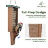 Kingsyard Recycled Plastic Suet Bird Feeder, Double Capacity Tail-Prop Suet