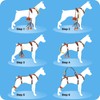 Dollephi Dog Lift Harness, Dog Lift Sling Carrier with Handle