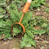 A.M. Leonard Hoop Hoe (4-Inch Diameter Head with 60-Inch Hardwood