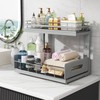 Biboraya 2 Pack Under Sink Organizer Upgrade to Professional Rails,2-Tier