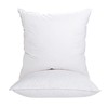 ANT-HOME 20"x20" Pillow Inserts Soft Feather Pillow Set of 2