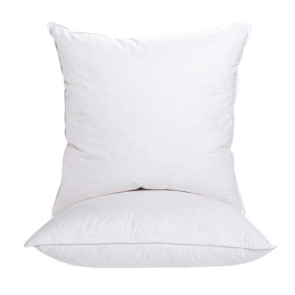 ANT-HOME 20"x20" Pillow Inserts Soft Feather Pillow Set of 2
