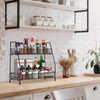 2 Tier Spice Racks Organiser – Free Standing Storage Organizer