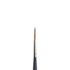 Winsor & Newton Professional Watercolour Brush, Synthetic, Gray, Nr. 4-Takelage-Pinsel
