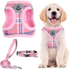 PUPTECK Adjustable Dog Harness Collar and Leash Set Step in No Pull Pet Harness for Small Medium Dogs Puppy and Cats Outdoor Walking Running, Soft Mesh Padded Reflective Vest Harnesses, Pink XL