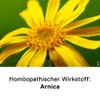 DHU Arnica 1+1 Streukügelchen und Salbe Kombipackung, 1 St. Kombipackung
