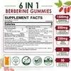 Berberine Gummies 1500mg Sugar Free, Organic Berberine Supplement w/Ceylon Cinnamon,