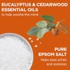 Dr Teal's Epsom Salt Magnesium Soak, Cozy Fireside, 3 lbs