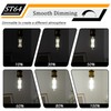 CREATE BRIGHT 16W Dimmable ST64 Led Bulbs 5000K Daylight White