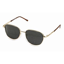 VANLO Metal Grid Glasses 420-EGP Square Grid