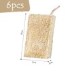 HDGSAFD 6 Pieces Loofah Cleaning Sponge Brush, Kitchen Cleaning Brush,