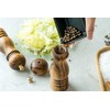 BILL.F Salt and Pepper Grinder Pepper Mill Grinder Pepper Grinders