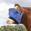 Harrison Howard Cattle Livestock Fly Mask Breathable Mesh Padded Edging