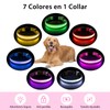 PcEoTllar Light up Dog Collar for Night Walking - LED