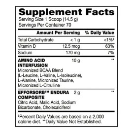 Suplemento en polvo BSN Endurance and Recovery Aminoácidos de AMINOx sabor sandía x 1kg