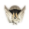 Ivory Coast Parachutist Foreign Jump Wings, Brite