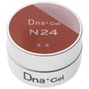Dna Gel Color Gel N24 2.5g Screws