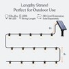 Brightech Ambience Pro Solar Powered Outdoor String Lights - Commercial