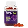 Gomitas Hierro Y Multivitaminas Sabor Uva Herbatech 100                                                                                               