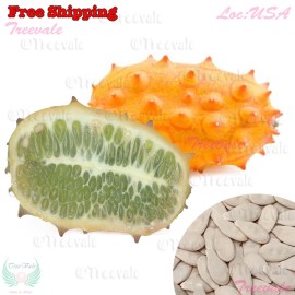 Treevale Kiwano Jelly Melon-Long , Horned Melon, African Horned Cucumber, Gakachika SEEDS - 25 Seeds