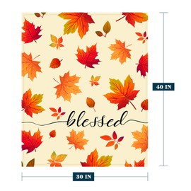 Neatee Living Fall Decorative Throw Blanket Small Baby Pet Blanket Thanksgiving Autumn Maple Leaf Blanket for Toddler Infant Crib Lightweight Fuzzy Soft Plush Fleece Blankets and Throws 30x40