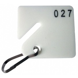 GRAINGER APPROVED 1-1/2" x 1-5/8" Square-Slotted Key Tags Numbered 201 to 300, White PK100