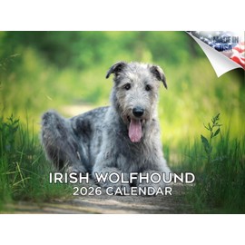2025 2026 Irish Wolfhound Calendar - Dog Breed Monthly Wall Calendar - 12 x 18 Open - Thick No-Bleed Paper - Giftable - Academic Teacher's Planner Calendar Organizing & Planning - Made in USA