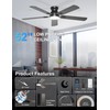 Phylluz 52'' Black Flush Mount Ceiling Fan with Lights for