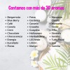Creaciones Marypao Paquete 10 Esencias 10 Ml Jabon Vela Cremas