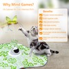 AO LI GEI Interactive Cat Toys Hide and Seek,3 in