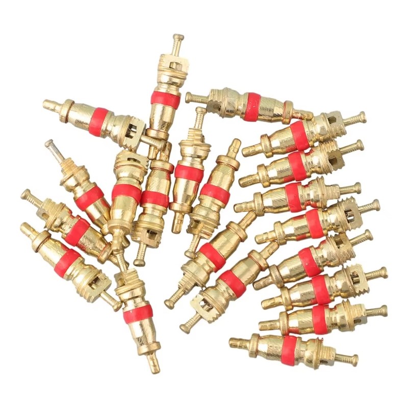 Schrader Valve Core Service Kit for Tire Maintenance – 33-Piece