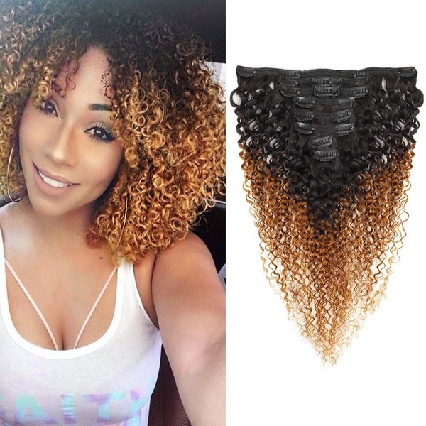 Seelaak 14 Inches Ombre Brown Afro Kinky Curly 4C 3A Clips in Hair Extensions Human Hair Kinky Curly Clip Ins Hair Extension for Black Women