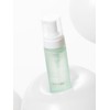 Formularier Organic Vegan Pure Green Tea Cleansing Foam 150g /