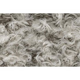 '25/75 Gray Duck Down + Feather Stuffing & Fill â Bulk 5lb Bag â Hypoallergenic Pillow Filling, Repair, Restuff, Fluff for Couch Cushions, Comforters, Jackets â by East Coast Bedding (5 Lbs.)