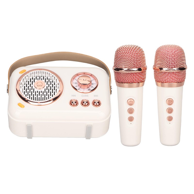 Karaoke Machine Multifunction Enhanced Bass 6 Modes Portable Bluetooth PA