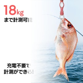 Fish Grip, Fish Catcher, Fish Holder, Fish Gripper, Grab with Carabiner, Holder, Weighing Function, Rust Proof... (Red)