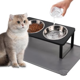 Upgraded Elevated Cat Bowls with Food Mat,15°Tilted Stand Anti Vomiting Raised Cat Dishes for Food and Water,2 Stainless Steel Bowls for Cats and Puppy（Black）